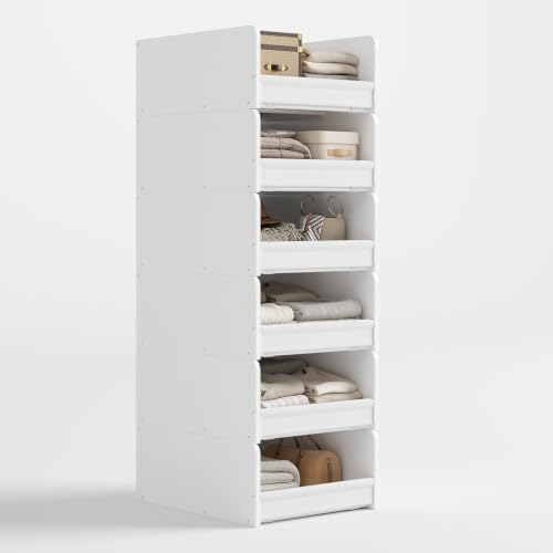 FOUCSSOMEI Closet Storage Organizer by FOUCSSOMEI
