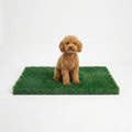 Turf Grass 29.5"x17" for Dogs by MAYSHINE