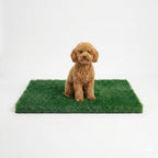 Turf Grass 29.5"x17" for Dogs by MAYSHINE