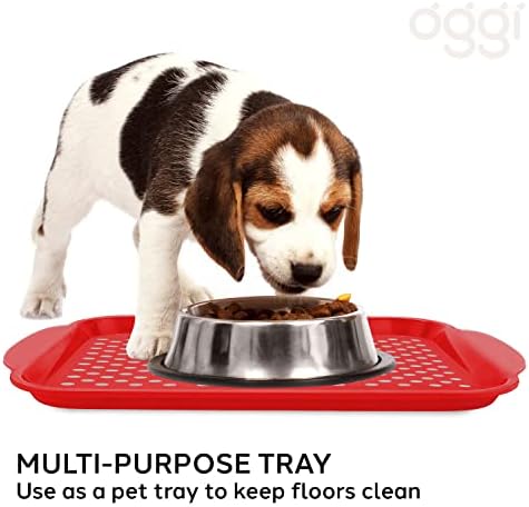 Oggi Anti Slip Serving Tray - Image 6