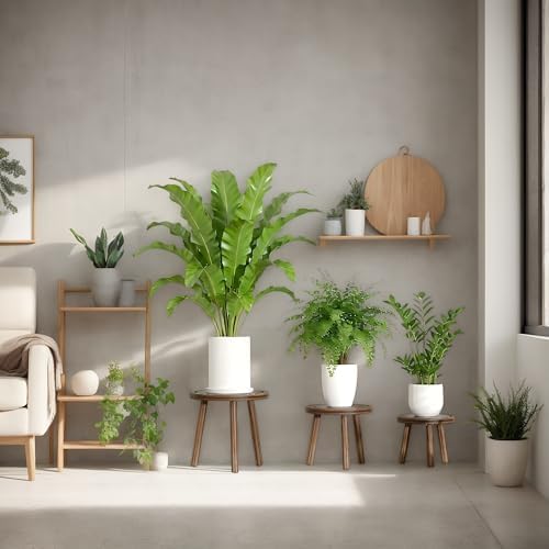 3-Pack Wood Plant Stands Indoor, Single Plant Stand - Image 5