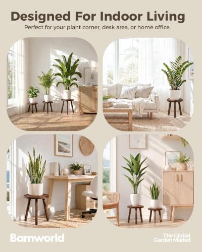 Bamworld Plant Stand Indoor 3 Pack Plant Stools - Image 6