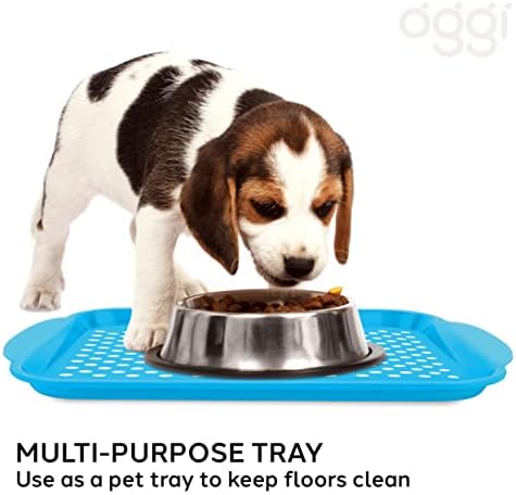 OGGI Anti Slip Serving Tray - Image 6