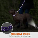 Taglory Rope Dog Leash for Medium Large Dogs, 4 FT Padded Handle - Image 5