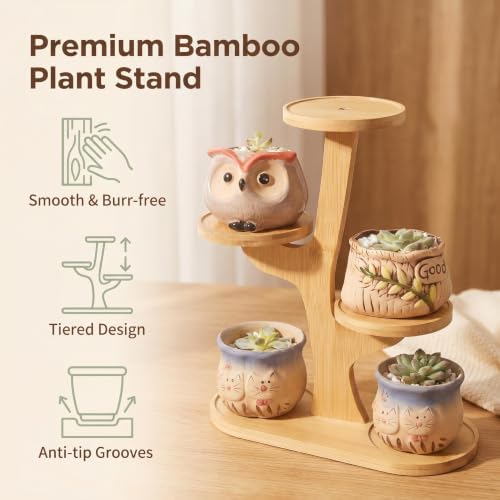 4 Tier Tabletop Plant Stand Indoor | Small Plant Stand - Image 6