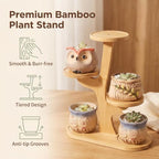 4 Tier Tabletop Plant Stand Indoor | Small Plant Stand - Image 6