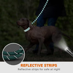Taglory Rope Dog Leash for Medium Large Dogs, 4 FT Padded Handle - Image 5