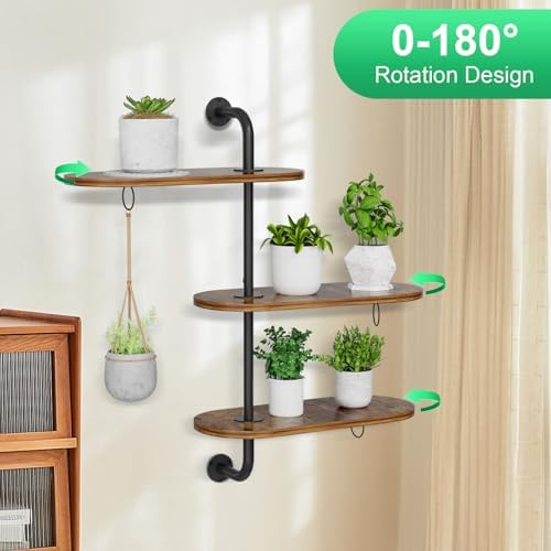 Rotating Window Plant Shelves - Image 3