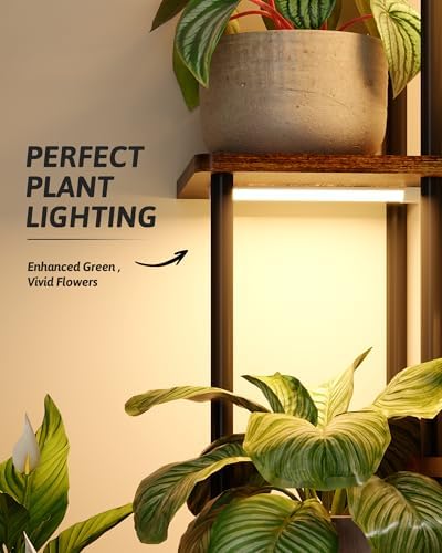GENTINGBRO Plant Stand Indoor - Image 4