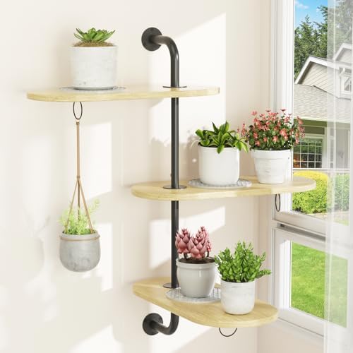 Rotating Window Plant Shelves by VyGrow
