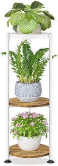 LASZOLA Plant Stand Tall Flower Holder by LASZOLA