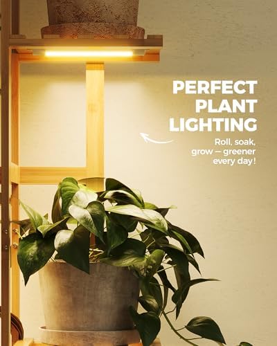 Bamworld Bamboo Plant Stand - Image 4