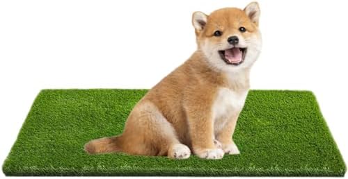 CooZero Artificial Grass, 39.4" x 19.7" Reusable Grass Patch by CooZero