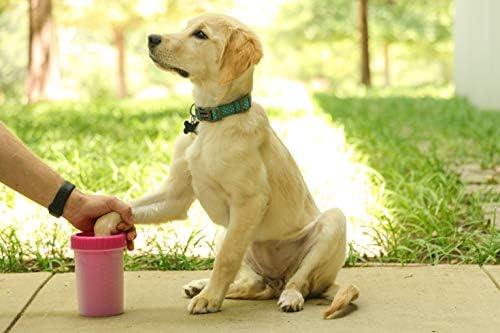 Dexas MudBuster Medium Dog Paw Cleaner, Fits 1.5"-2.5" Wide Paws, Gentle - Image 5