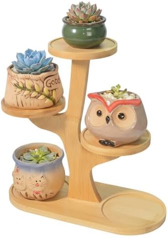 4 Tier Tabletop Plant Stand Indoor | Small Plant Stand by Unknown