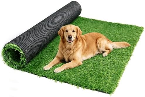 Artificial Grass Rug 6FT x 10FT – UV & Wear Resistant, Pet-Friendly Artificial by COOLGRASS