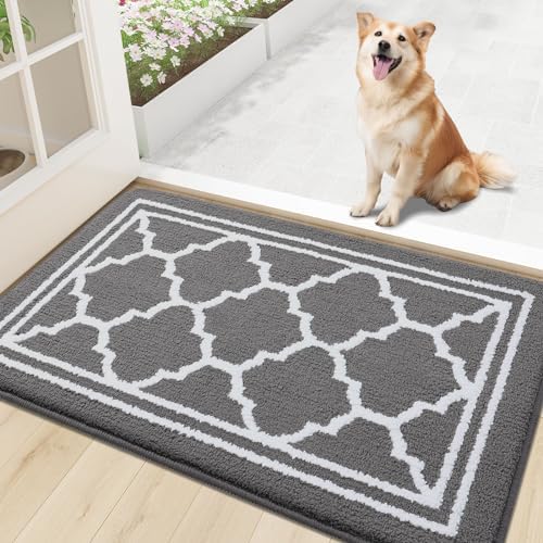 Buganda Indoor Door Mat, Dirt-Resistant and Absorbent Doormat, Low Profile by Buganda