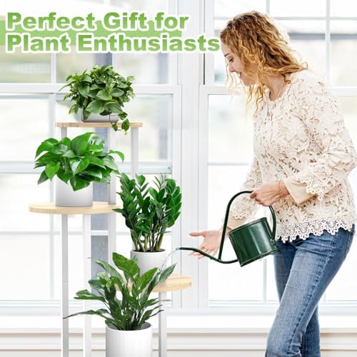 5 Tier Plant Stand Indoor Corner Tall Shelf - Image 5