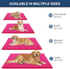 OLANLY Dog Door Mat for Muddy Paws 24x16, Extra Absorbent Chenille Mud Mat - Image 2