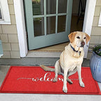 AAZZKANG Red Door Mat Large 48"x18" - Image 7