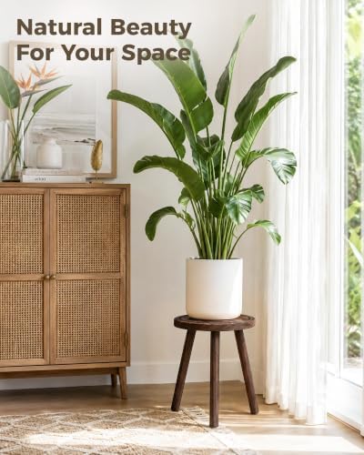 Bamworld Plant Stand Indoor 3 Pack Plant Stools - Image 5