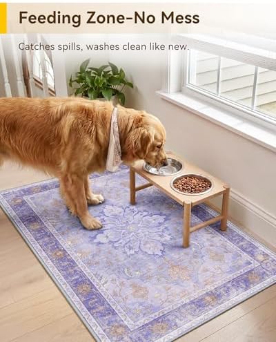 RELEANY Washable Area Rug, Small 2'x3' - Image 3