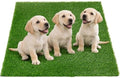 Artificial Grass Pee Pads for Dogs Puppy Potty Training to Pee and Poop by Oiyeefo