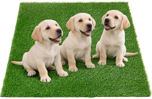Artificial Grass Pee Pads for Dogs Puppy Potty Training to Pee and Poop by Oiyeefo