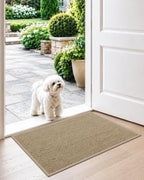 DEXI Ultra Thin Indoor Door Mat 17x30, Entrance Doormats - Image 2