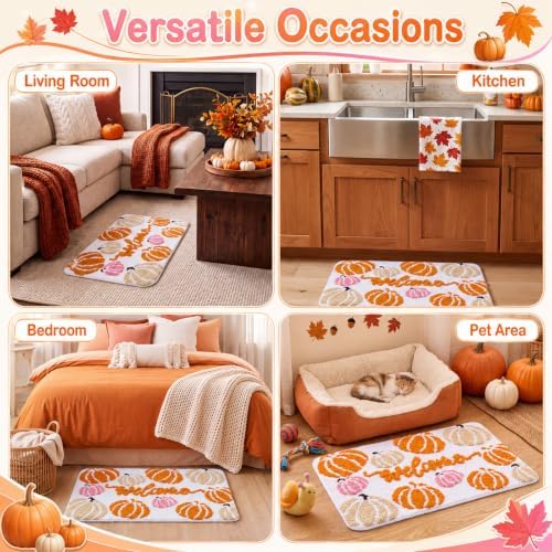 Capoda 1 Pc Fall Pumpkin Bathroom Rug 20x30 Inch, Welcome Pumpkin - Image 5