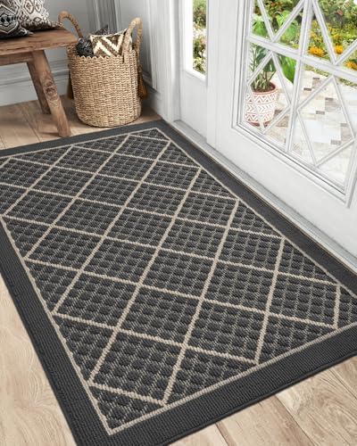 DEXI Front Door Mat Indoor Entryway 36x60 Inside Entrance Doormat Dark Grey by DEXI