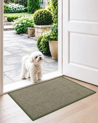 DEXI Ultra Thin Indoor Door Mat 17x30, Entrance Doormats - Image 2