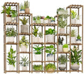 GENTINGBRO 22 Tiers Plant Shelf by Gentingbro