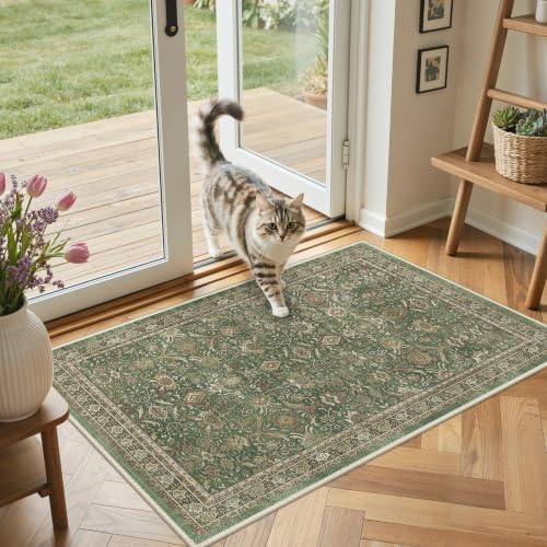 GENIMO Indoor Outdoor Rug, Washable - Image 3