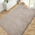 PURRUGS Area Rug by PURRUGS
