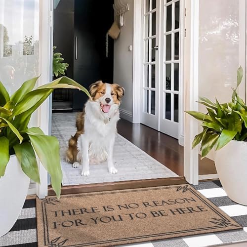Indoor Outdoor Mat Front Door Welcome Mats Durable Funny There is No Reason - Image 4