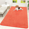 OLANLY Dog Door Mat for Muddy Paws 70x46, Super Absorbent Chenille Mud Mat by OLANLY