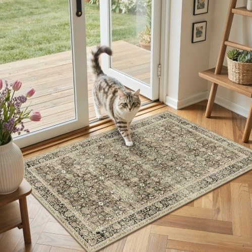 GENIMO Indoor Outdoor Rug, Washable - Image 3