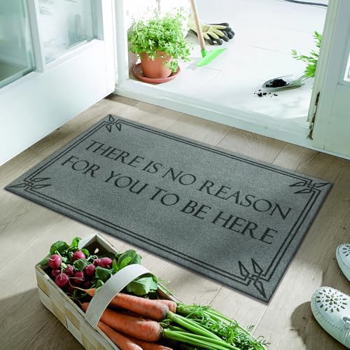 Front Door Mat Funny Welcome Mats Brown There is No Reason - Image 5