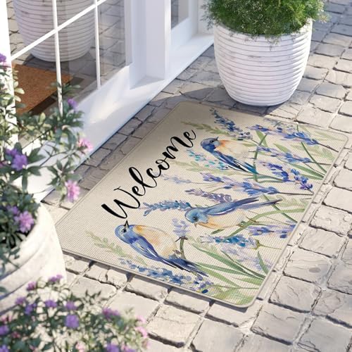 Welcome Spring Summer Bluebirds Decorative Front Door Mat - Image 2