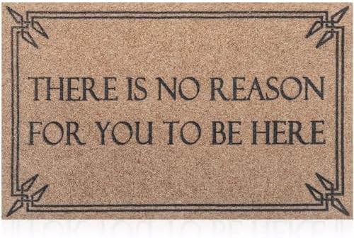 Indoor Outdoor Mat Front Door Welcome Mats Durable Funny There is No Reason by Lzuso
