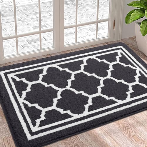Buganda Indoor Door Mat, Dirt Resistant Doormat, Dark Grey by Buganda