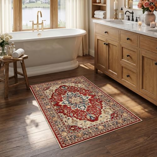 RELEANY Washable Area Rug, Small 2'6"x4' by RELEANY