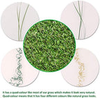 Artificial Grass Fake Grass Lawn Turf 6 ft x 61 ft, GL Realistic Synthetic Pet - Image 3