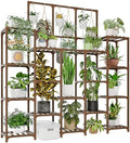 GENTINGBRO Plant Stand Indoor Outdoor 63" Tall Plant Shelf by Gentingbro