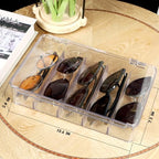 FORUP Sunglasses Organizer, Plastic Stackable Eyeglass Case Storage Organizer - Image 2