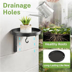iDavosic.ly Plant Wall Hanger Set of 2 - Image 2