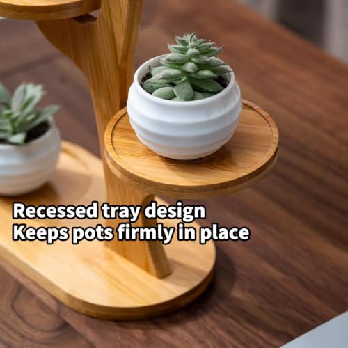 4 Tier Tabletop Plant Stand Indoor | Small Plant Stand - Image 3