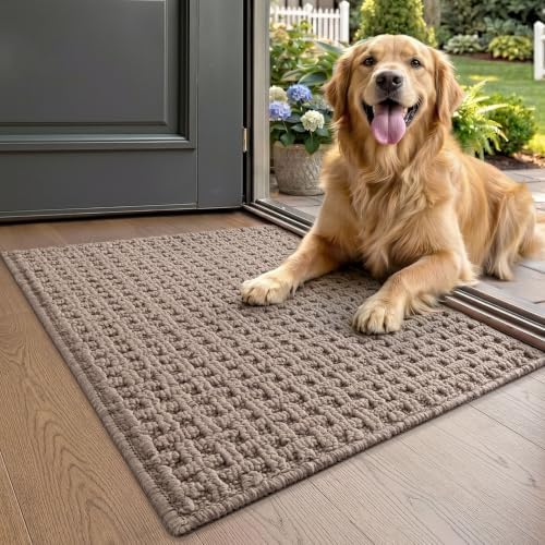 LUMI Washable Indoor Door Mat for Entryway 17x30, Entrance Mat by LUMI