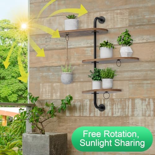Rotating Window Plant Shelves - Image 4